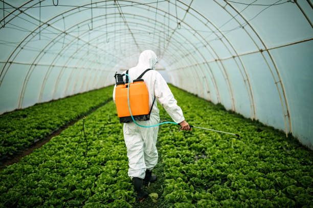 Best Pest Inspection Near Me  in Blackwell, OK