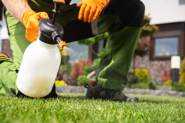 Wildlife Control Services in Blackwell, OK