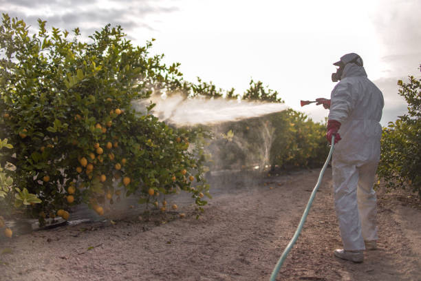 Best Residential Pest Control  in Blackwell, OK